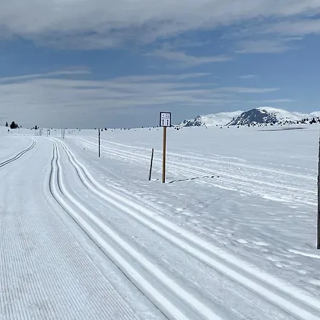 Cozy In With Wifi Leilighet *